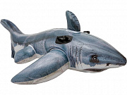 Игрушка надувная для плавания 173x107 см. Акула с ручками INTEX. (в коробке) Арт. 57525NP/Рыжий кот