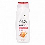 Шампунь ACTIVE для окрашенных волос CARE & BEAUTY. С кератином и пшеничным протеином, 350 мл 1/12