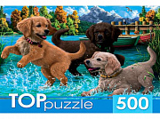 500 эл. TOPpuzzle. ХТП500-6810 Игривые щенки/Рыжий кот