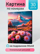 Холст с красками 30х40 см по номерам в коробке (30цв.) Горные цветы (арт. ХК-5234)/Рыжий кот