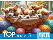 500 эл.TOPpuzzle ПАЗЛЫ . КОРГИ В КОРЗИНЕ (Арт. Ф500-8741)/Рыжий кот